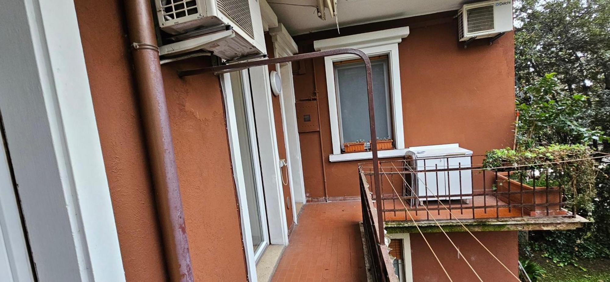 Lo Scoiattolo, Verona