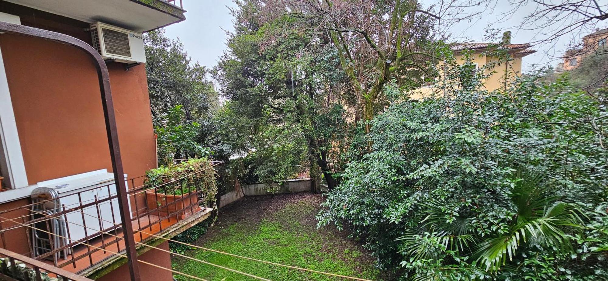 Lo Scoiattolo — Photos 2
